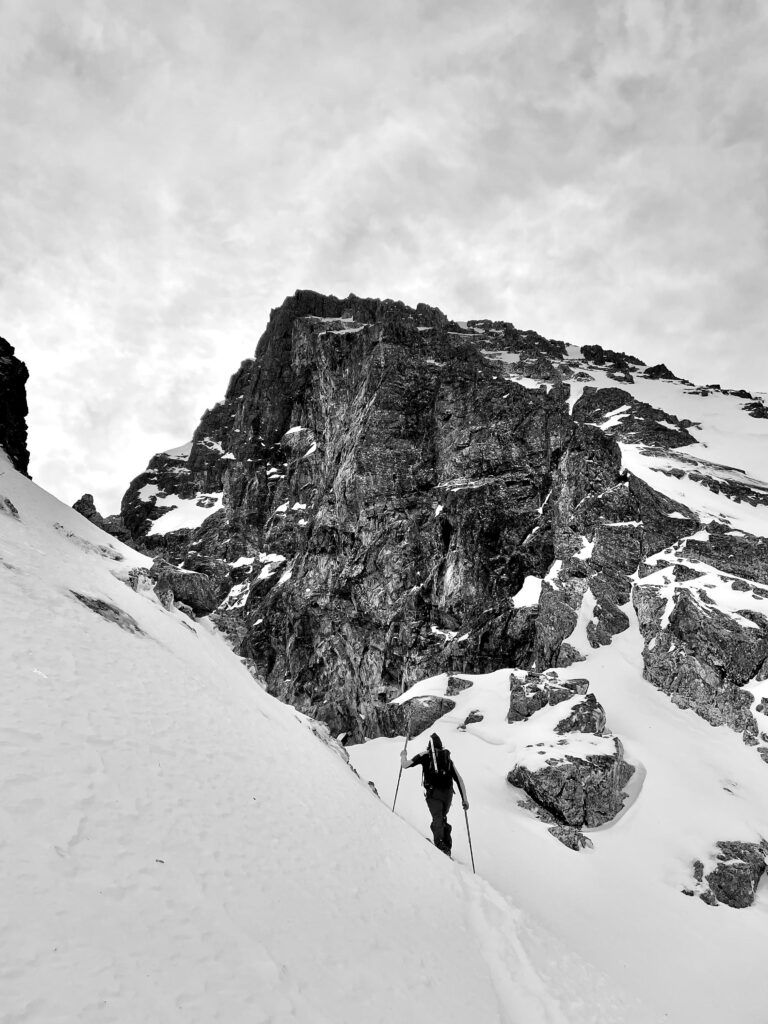 4955a03a 9f89 48ed 9d25 d35d1a9eb8bf